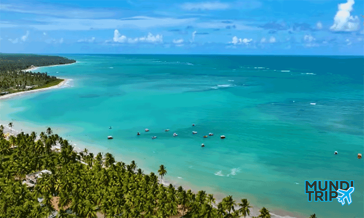 Descubra As 5 Melhores Praias Do Nordeste Mundi Trip