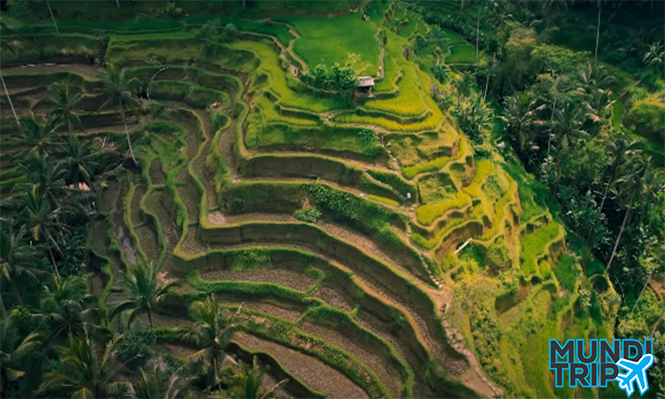 Bali, Indonésia